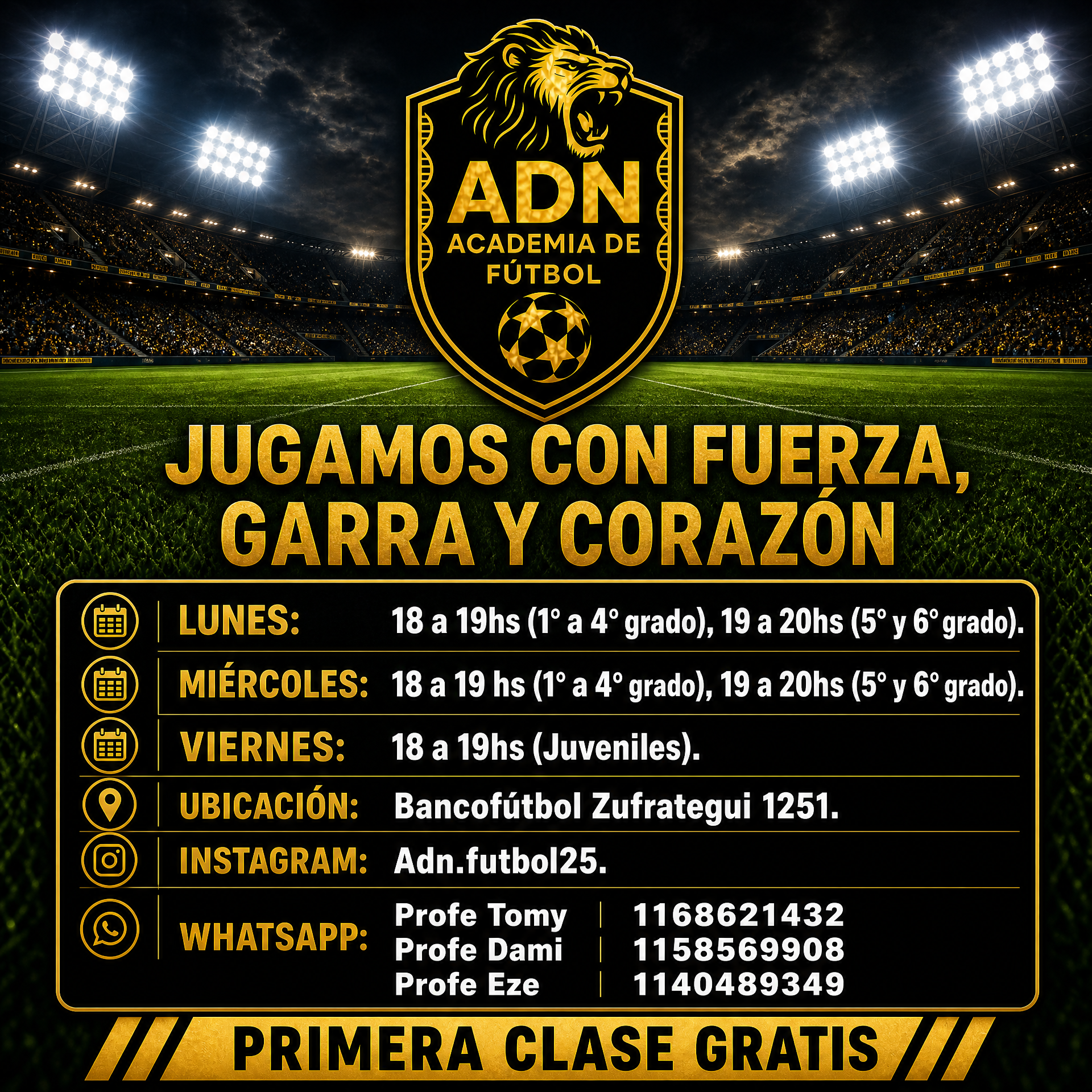 Grilla de horarios de ADN Academia de Fútbol
